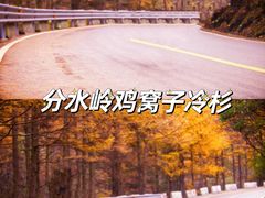 -沣峪口