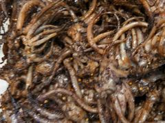 -水一方现烤鱿鱼丝大连特产(三八广场店)