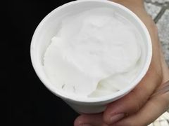 -洪馨椰子
