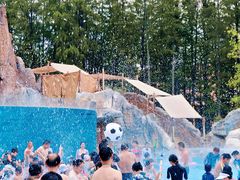 -武汉玛雅海滩水公园