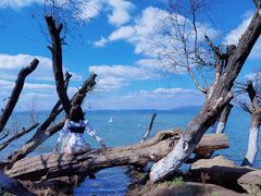 -捞渔河湿地公园