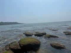 -青岛海景花园大酒店