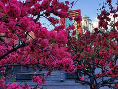 -北京奥林匹克公园