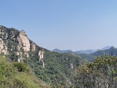 -大岭沟猕猴桃谷风景区