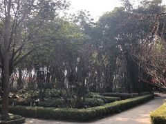 -望江楼公园