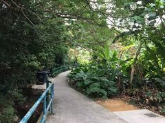 -南丫岛