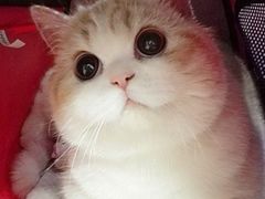 -银吉姆健身(平江万达馆)