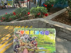 -攀枝花公园