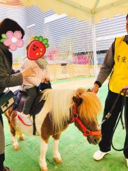 -萌宠亲子动物乐园(槐房万达店)