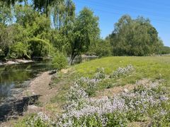 -长白岛森林公园