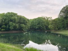 -贡湖湾湿地公园
