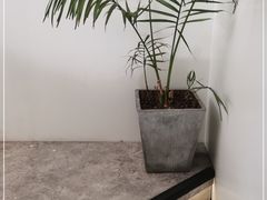 -青梅酒肆PLUS(长白仙岛北路店)