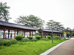 -飞来湖湿地公园