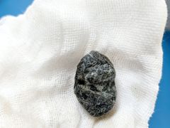 -派美特宠物医院·核磁CT·骨科肿瘤·疑难转诊(沈农禾丰店)