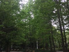 -苏州河梦清园环保主题公园