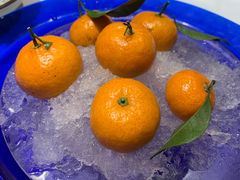-四季民福烤鸭店(前门店)