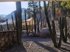 -MOJ coffee(瓯海泽雅水碓坑店)