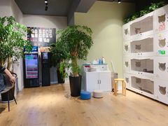 -东方名猫馆·英短金渐层布偶猫舍(环线广场1号楼店)