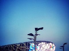 -奥林匹克森林公园北园-停车场