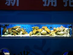 -洛阳龙门海洋馆