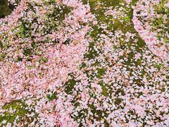 -苏州河梦清园环保主题公园