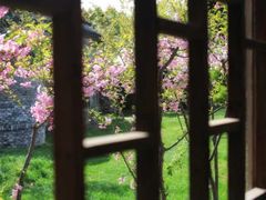 -桃花岛景观公园