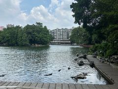 -荔湾湖公园