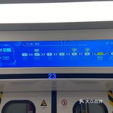 广州1⃣️8⃣️号线初体验(与4⃣️号线对比如何？附横沥公交指南)