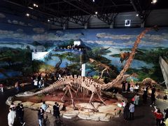 -自贡恐龙博物馆