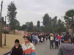 -枫香湖儿童公园