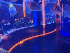 -上和臻品中国菜(花园街店)