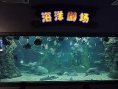 -南昌海洋公园