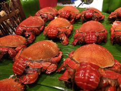-乐咖啡西餐厅(太湖皇冠假日酒店)