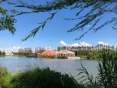 -上海长兴岛郊野公园