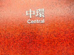 -新记车仔面