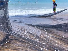 -三亚海棠湾万丽度假酒店