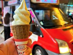 -富豪雪糕车流动点(尖沙咀店)