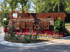-东郊湿地公园