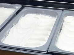 椰奶冰激凌-椰语堂·海南清补凉(友谊阳光城店)