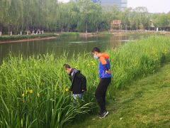 -大兴滨河森林公园