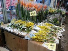 -海翔花行(岭南花卉市场店)