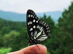 -香山公园