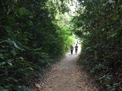 -武吉知马自然保护区