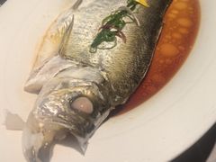-醉庐·新上海菜(南京西路店)