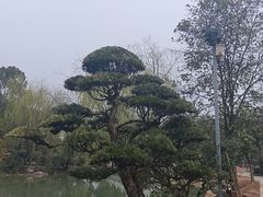 -永康小长城