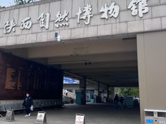 -陕西自然博物馆