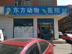 -东方动物医院·宠保定点·骨科·转诊中心(春城路·昆明站分院)