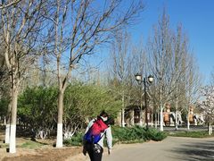 -永定河休闲森林公园