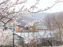 -大连北马山庄