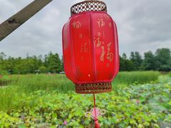 -东平国家森林公园